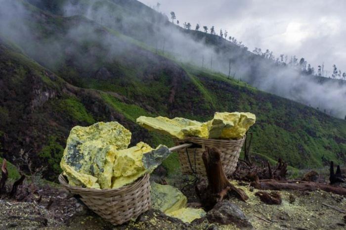 Ijen Basecamp & Homestay Ketapang  外观 照片